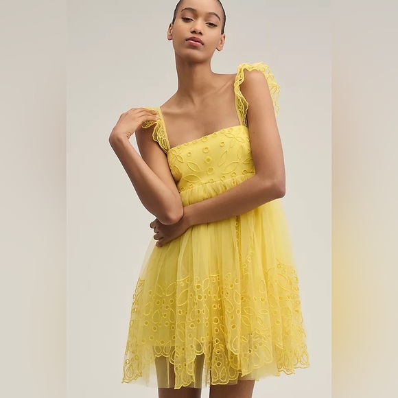 Let Me Be Eyelet Tulle Mini Dress - Picture 1 of 15